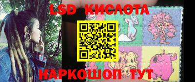 стаф Канаш