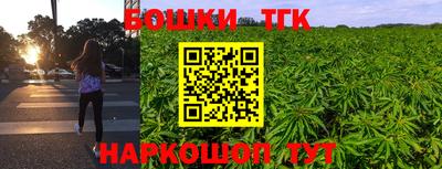 стаф Канаш