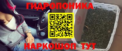стаф Канаш