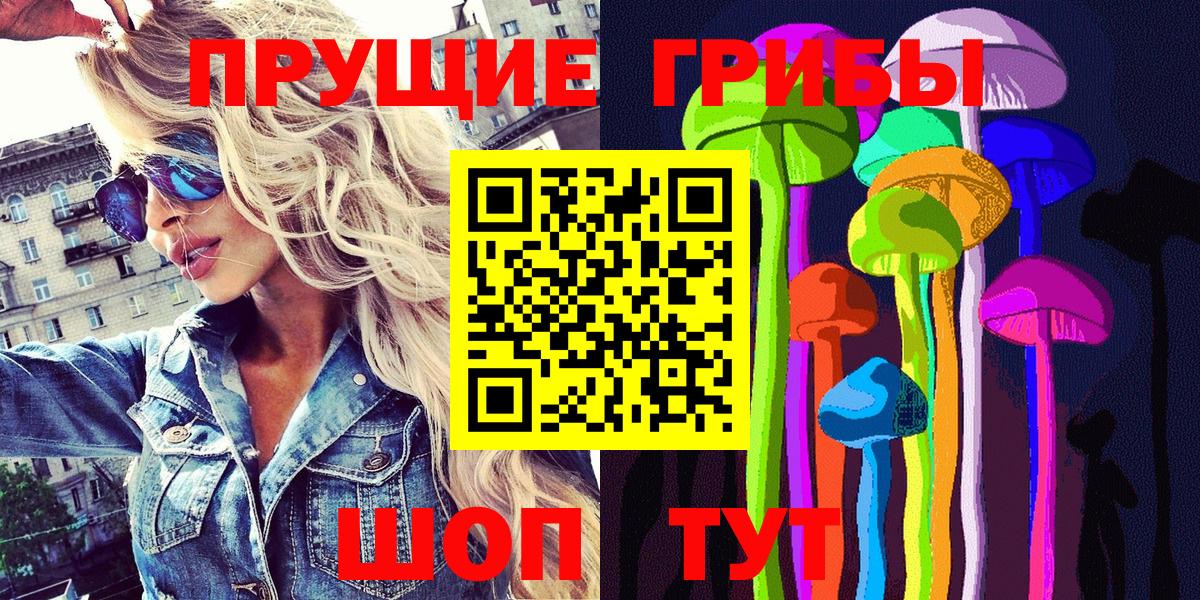 Долгопрудный  Псилоцибиновые грибы Psilocybe  Вход с VPN 