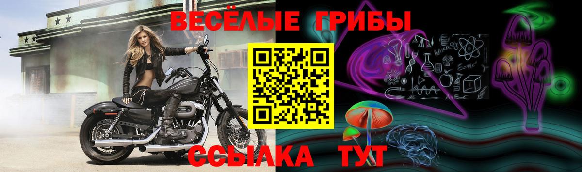 Псилоцибиновые грибы ЛСД Долгопрудный